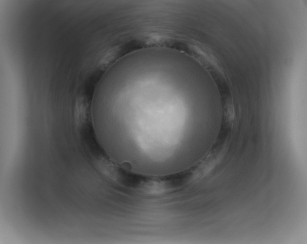X0000113250276200909101434