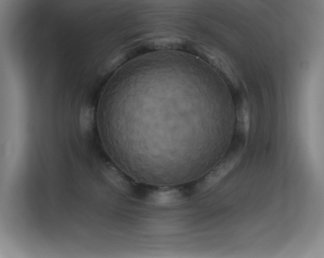 X0000113250278200909101434