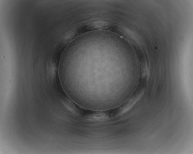 X0000113250279200909101434