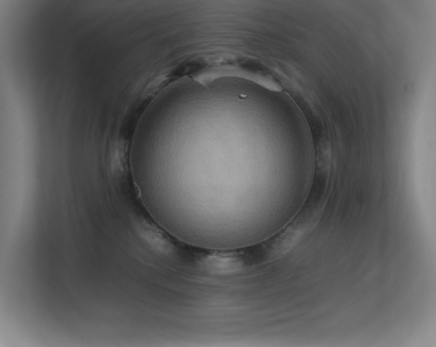 X0000113250280200909101434