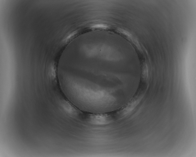 X0000113250282200909101434