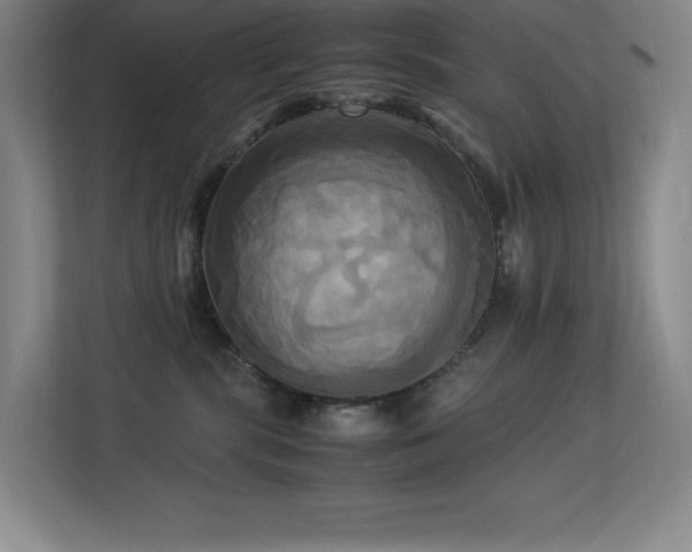 X0000113250283200909101434