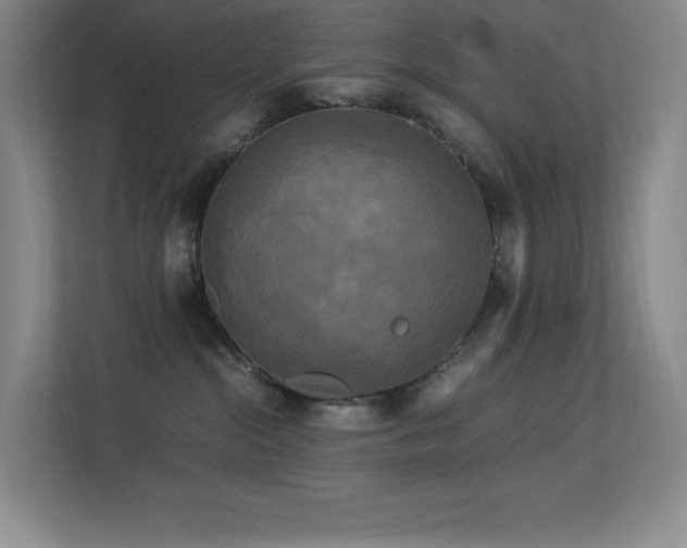 X0000113250284200909101434