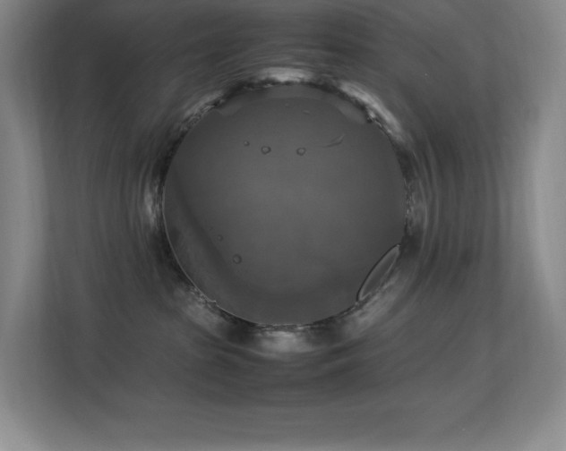 X0000113250285200909101434
