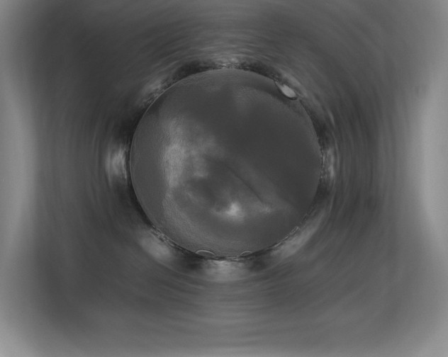 X0000113250286200909101434