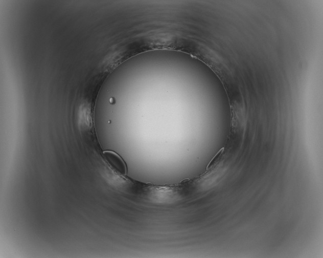 X0000113250287200909101434