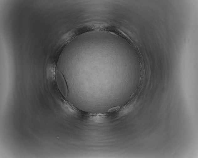 X0000113250288200909101434