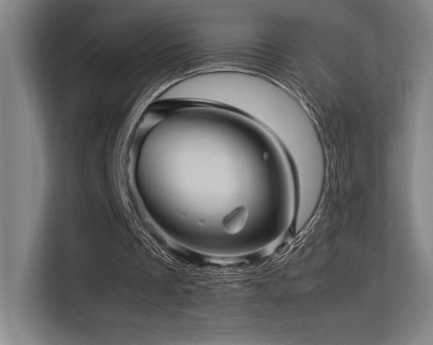 X0000113250289200909101434