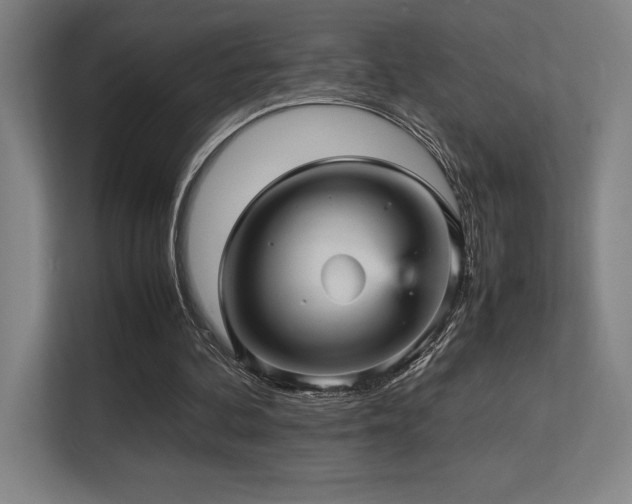 X0000113250292200909101434