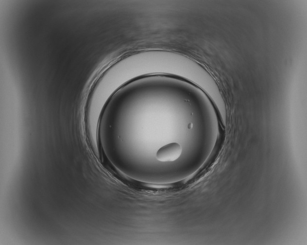 X0000113250293200909101434