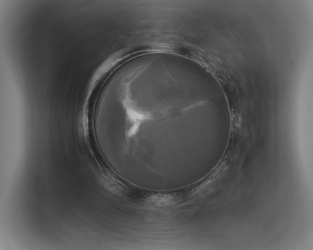 X0000113250294200909101434