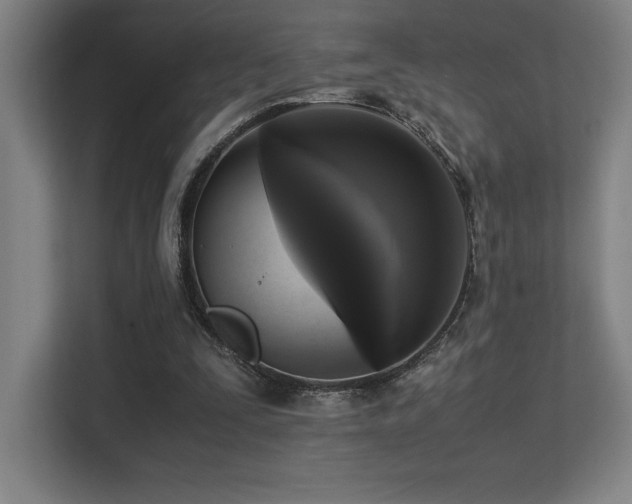 X0000113250295200909101434