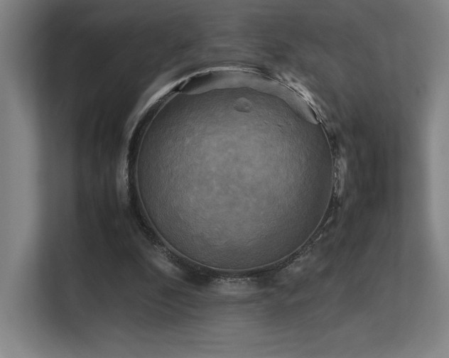 X0000113250296200909101434