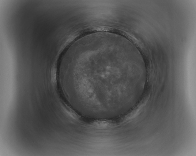 X0000113250299200909101434