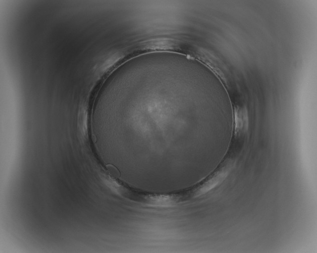 X0000113250301200909101434