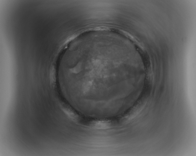X0000113250303200909101434