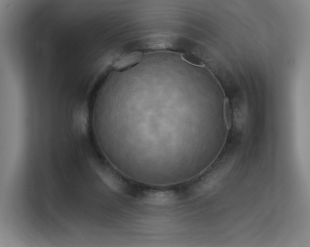 X0000113250304200909101434