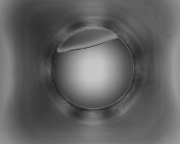 X0000113250305200909101434