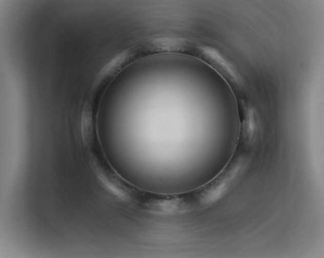 X0000113250306200909101434