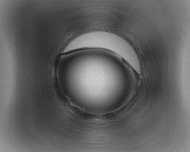 X0000113250308200909101434