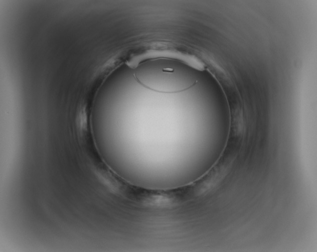 X0000113250310200909101433