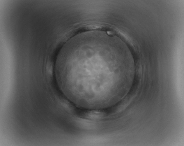 X0000113250315200909101433