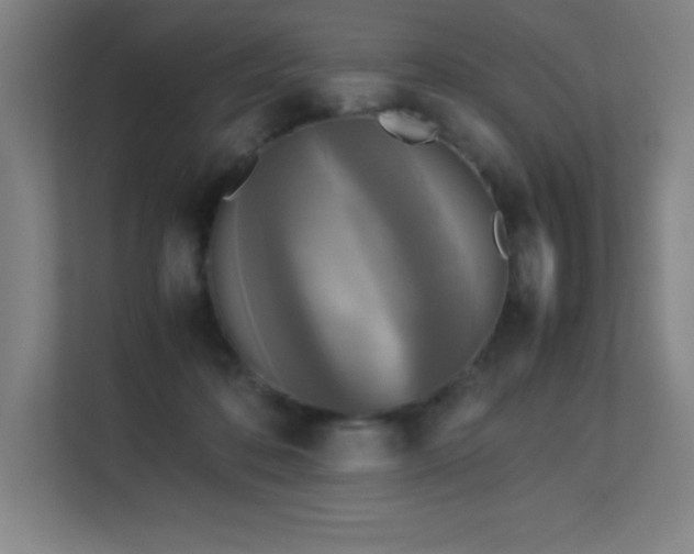 X0000113250316200909101433