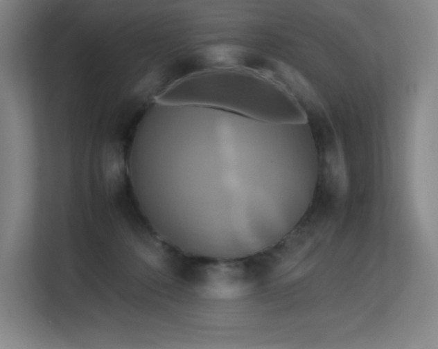X0000113250320200909101433