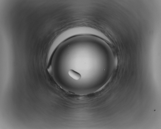 X0000113250324200909101433