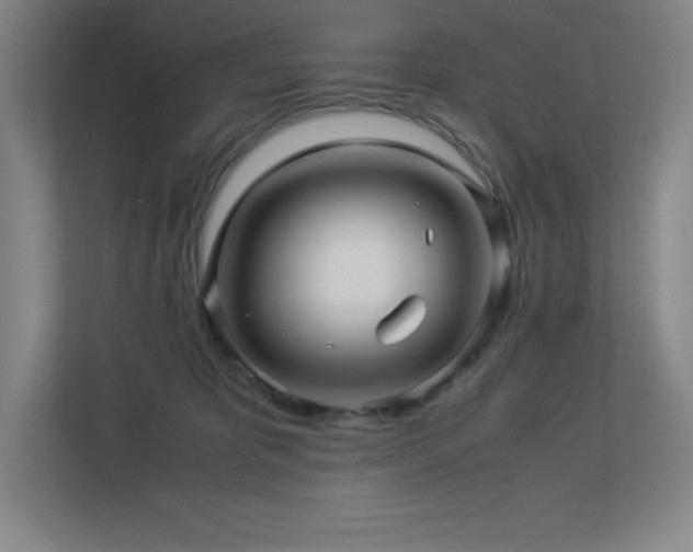 X0000113250325200909101433