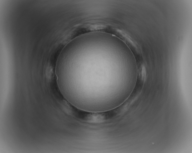X0000113250327200909101433