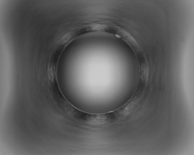 X0000113250329200909101433