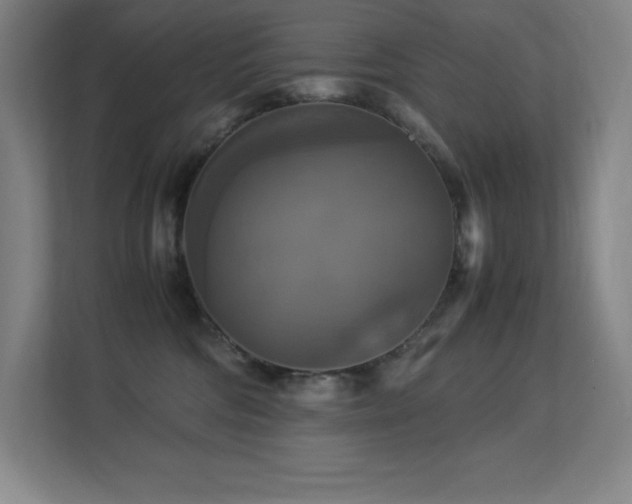 X0000113250330200909101433