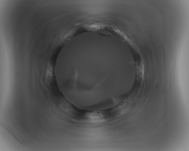 X0000113250331200909101433