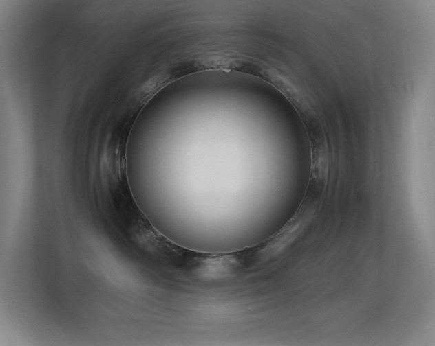 X0000113250334200909101433