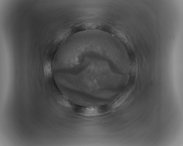 X0000113250335200909101433