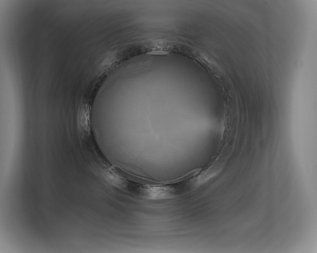 X0000113250336200909101433