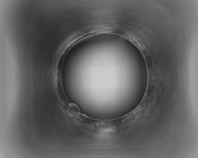X0000113250338200909101433