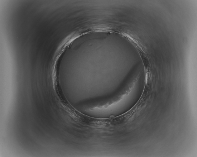 X0000113250339200909101433