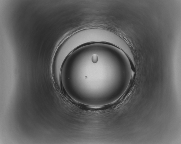 X0000113250340200909101433