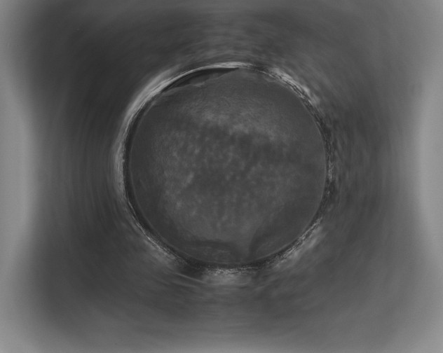 X0000113250341200909101433