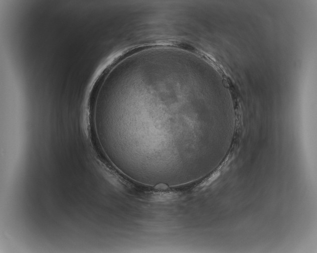 X0000113250342200909101433