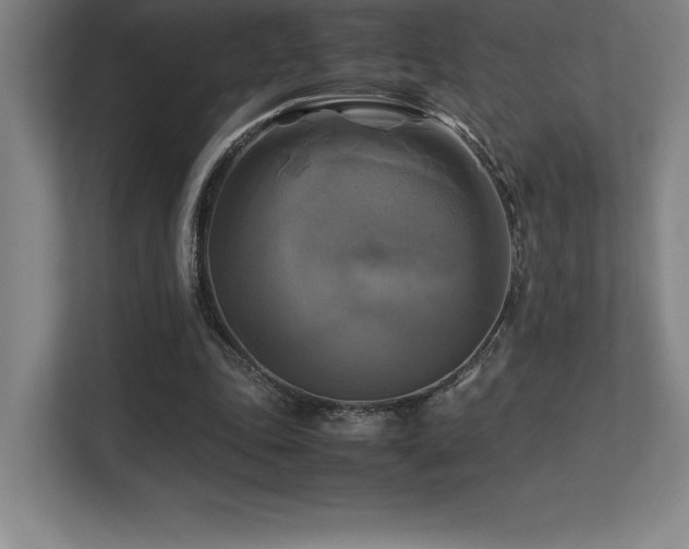 X0000113250343200909101433