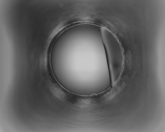 X0000113250344200909101433