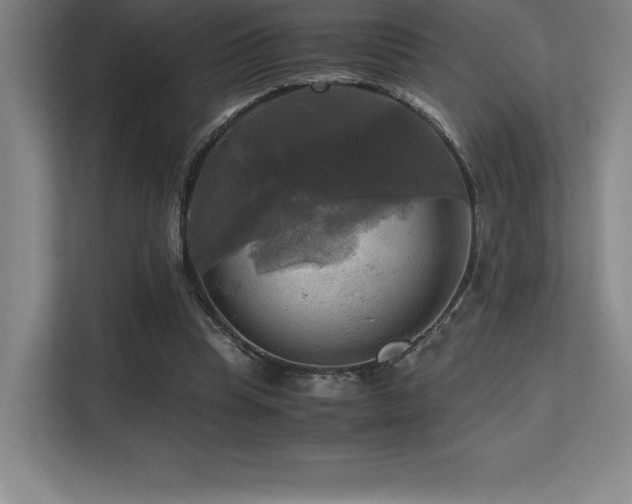 X0000113250345200909101433