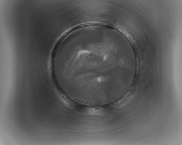 X0000113250346200909101433