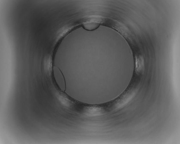 X0000113250348200909101433