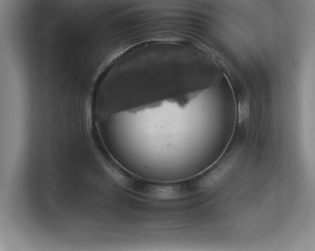 X0000113250349200909101433
