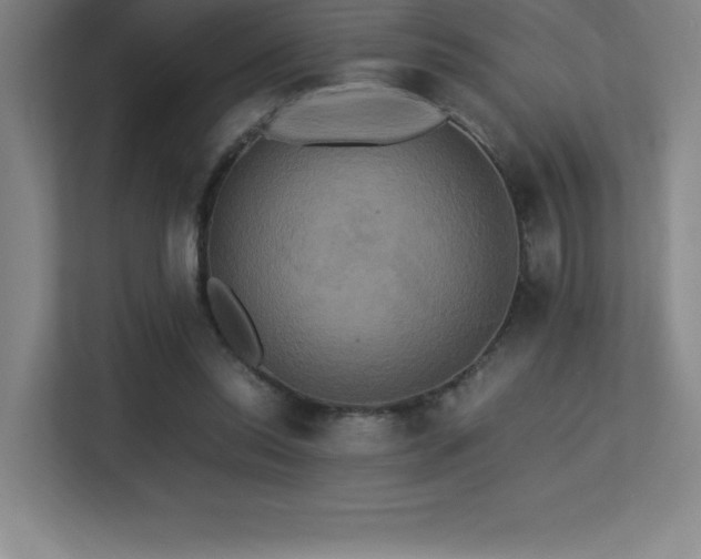X0000113250350200909101433