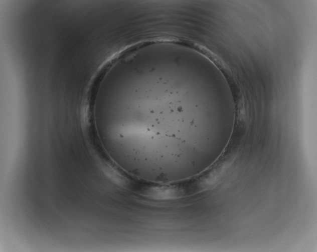 X0000113250351200909101433